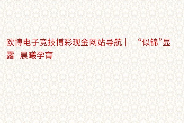 欧博电子竞技博彩现金网站导航 | ​“似锦”显露  晨曦孕育
