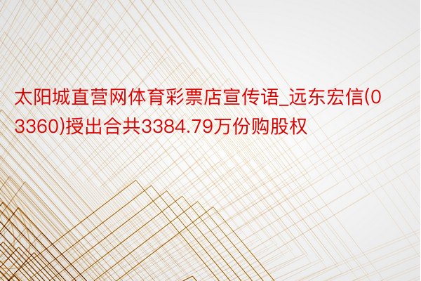太阳城直营网体育彩票店宣传语_远东宏信(03360)授出合共3384.79万份购股权