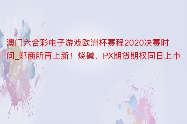 澳门六合彩电子游戏欧洲杯赛程2020决赛时间_郑商所再上新！烧碱、PX期货期权同日上市