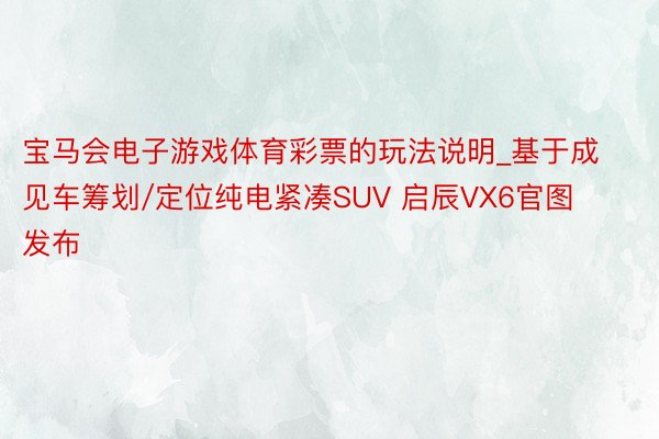 宝马会电子游戏体育彩票的玩法说明_基于成见车筹划/定位纯电紧凑SUV 启辰VX6官图发布